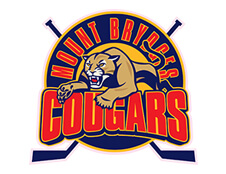 mnt-brydges-cougars